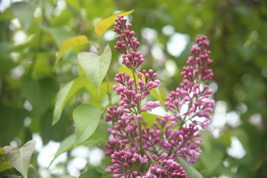 Similar image 22327250