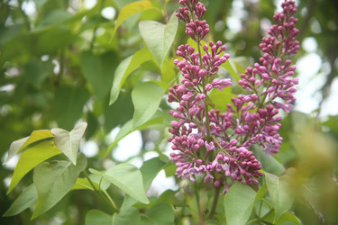 Similar image 22327251