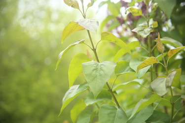 Similar image 22331875