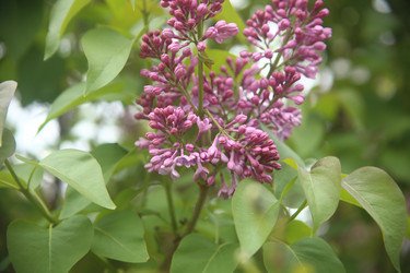 Similar image 22327253