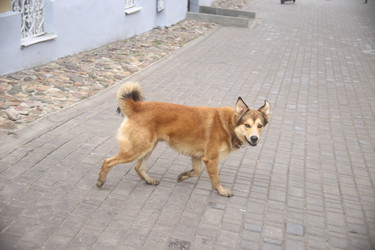 Similar image 22331876