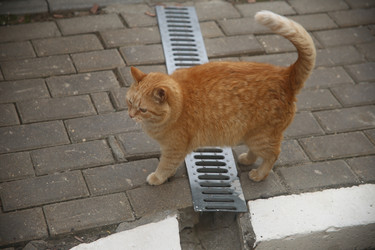 Similar image 22331877