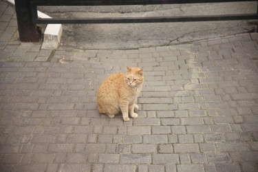 Similar image 22331878