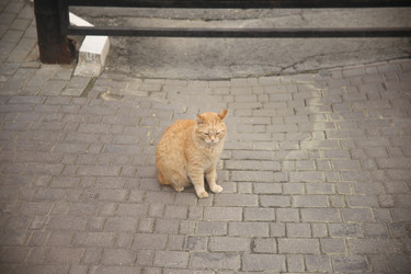 Similar image 22331879