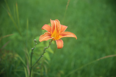 Similar image 22327254