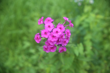 Similar image 22327188