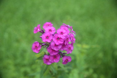 Similar image 22327189