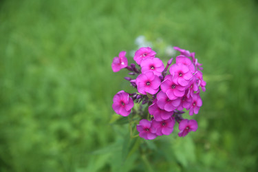 Similar image 22327190