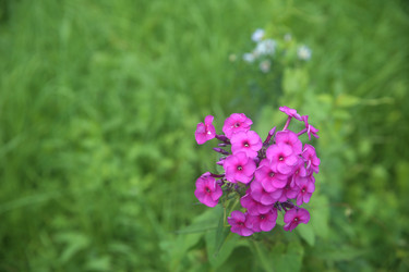 Similar image 22327191