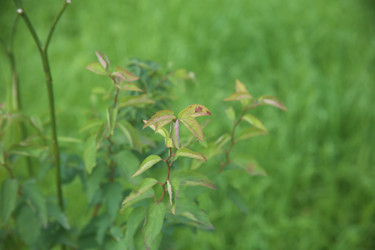 Similar image 22327192