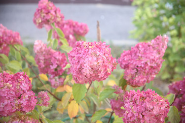 Similar image 22327261