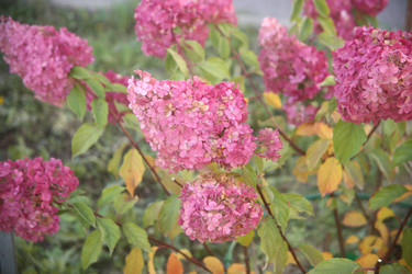 Similar image 22327262