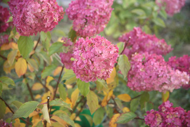 Similar image 22327264