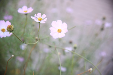 Similar image 22327265