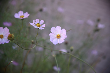 Similar image 22327266