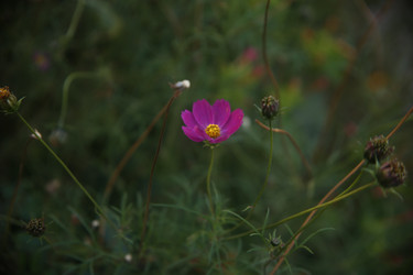 Similar image 22327267