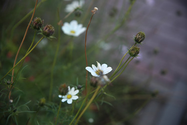 Similar image 22327268