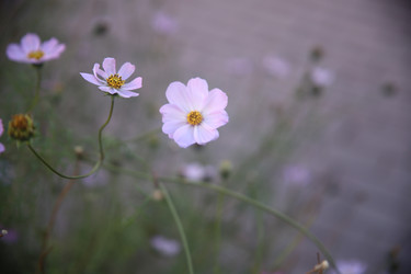 Similar image 22327270