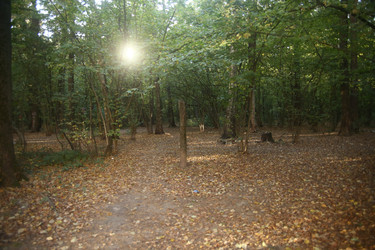 Similar image 22331881