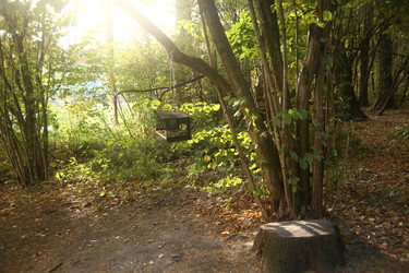 Similar image 22331882