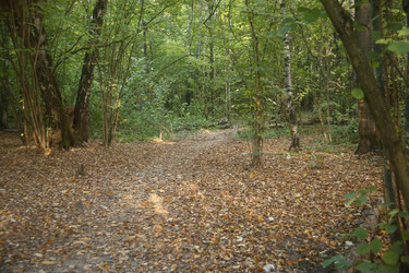 Similar image 22331883