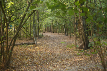 Similar image 22331884