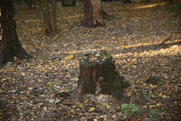 Similar image 22331885