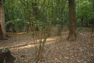 Similar image 22331886