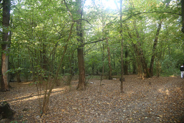 Similar image 22331887