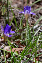 Similar image 22332186