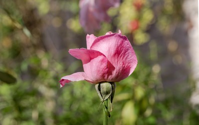 Similar image 22332188