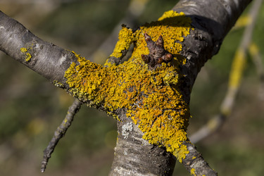 Similar image 22332189