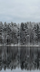 Similar image 22332065