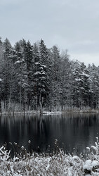 Similar image 22332076