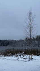 Similar image 22332087