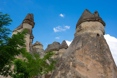 Similar image 22331912