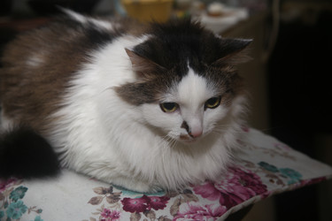 Similar image 22331952