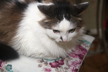 Similar image 22331953