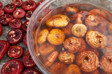 Similar image 22331750