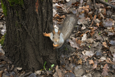 Similar image 22331752