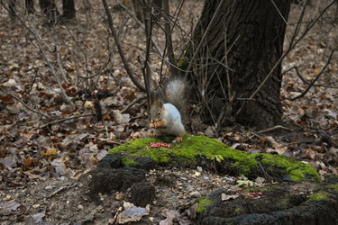 Similar image 22331753