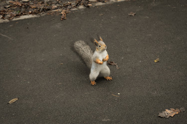 Similar image 22331754