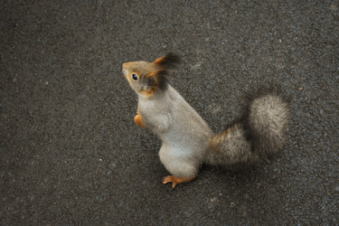 Similar image 22331755