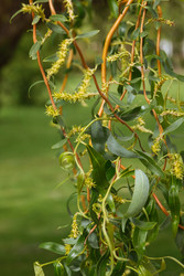 Similar image 22331757