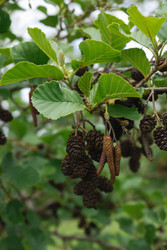 Similar image 22331759