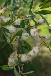 Similar image 22331761