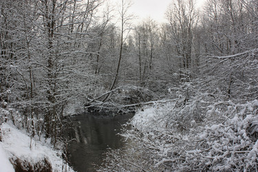 Similar image 22332349