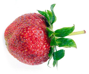 Similar image 22332092