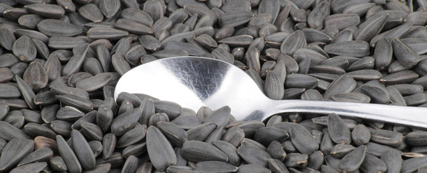 Similar image 22332103