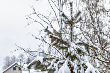 Similar image 22332126